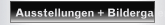 Ausstellungen + Bildergalerie